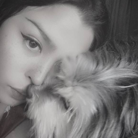 Meet your Posher, Jax - Picture 1 of 1